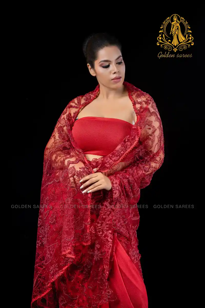 Crystal Designed saree - Image 5