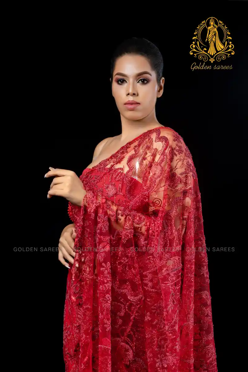 Crystal Designed saree - Image 6