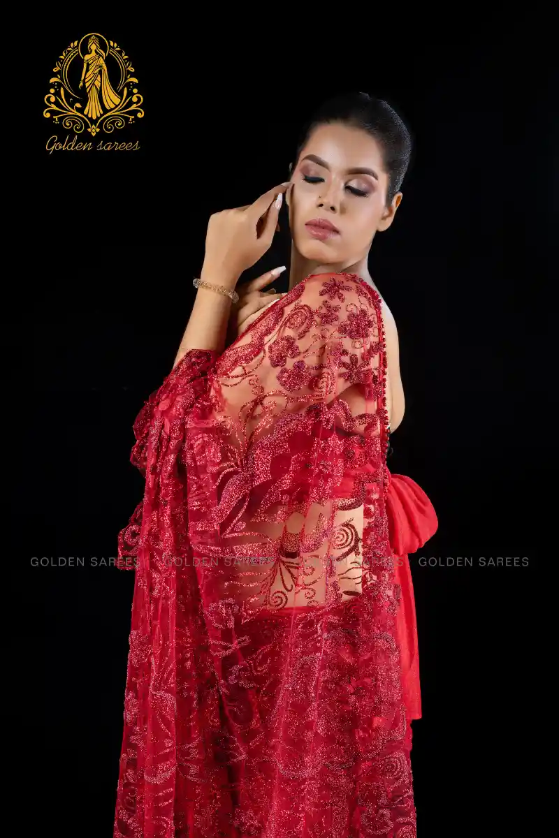 Crystal Designed saree - Image 7