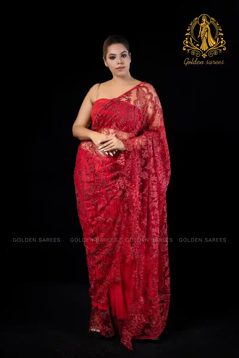 Crystal Designed saree - Image 8