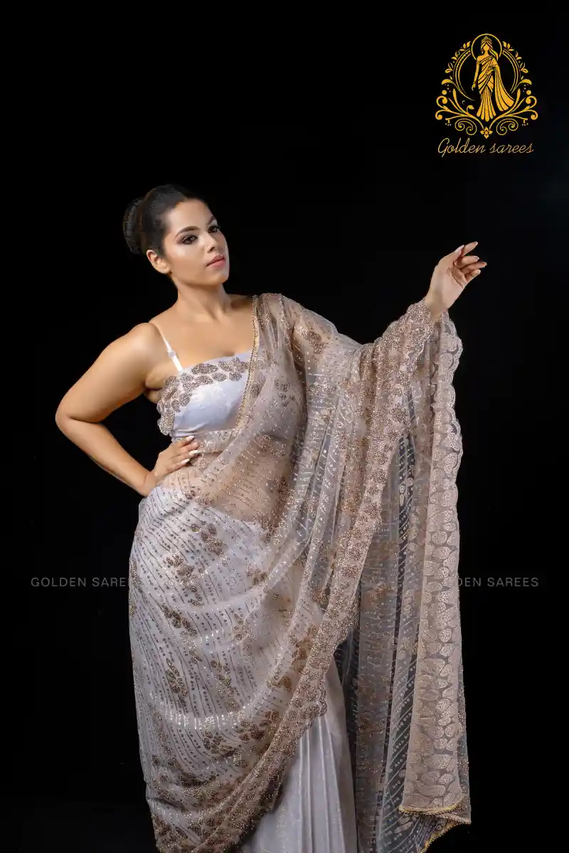 Crystal Designed saree - Image 12