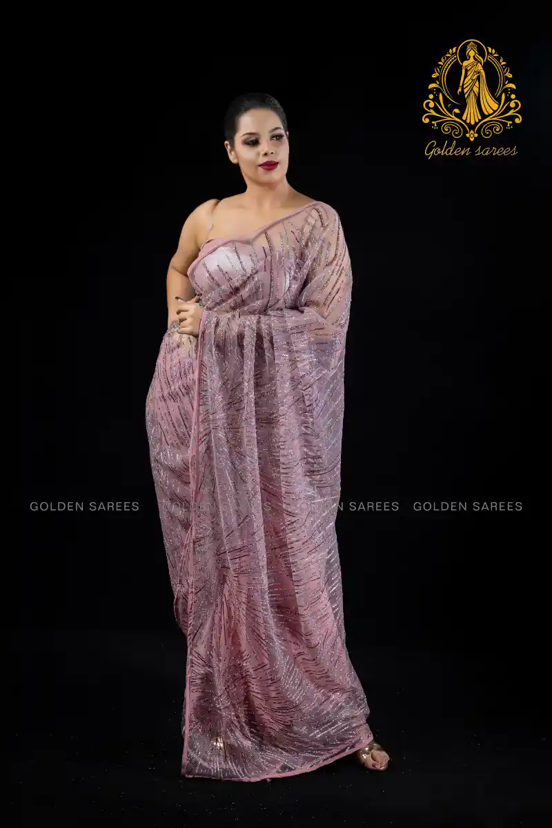 Crystal Designed saree - Image 14