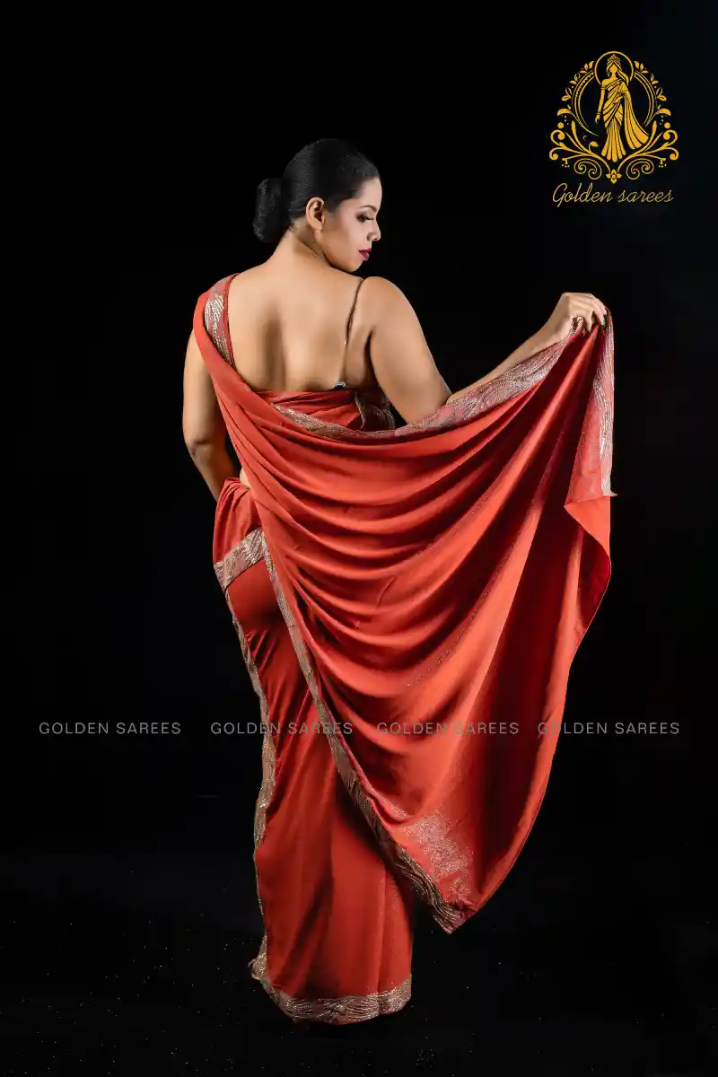 Modern Crystal Osari Saree - Image 4